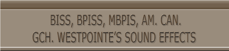 BISS, BPISS, MBPIS, AM. CAN. GCH. WESTPOINTE’S SOUND EFFECTS